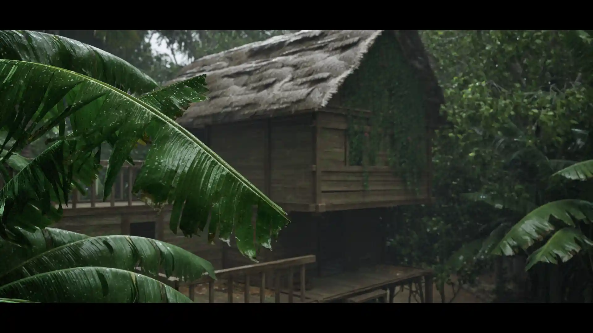 Jungle House
